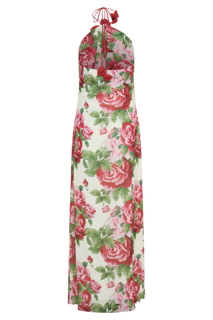 Rosalia Cowl Neck Maxi Dress - Sonia Rose Print