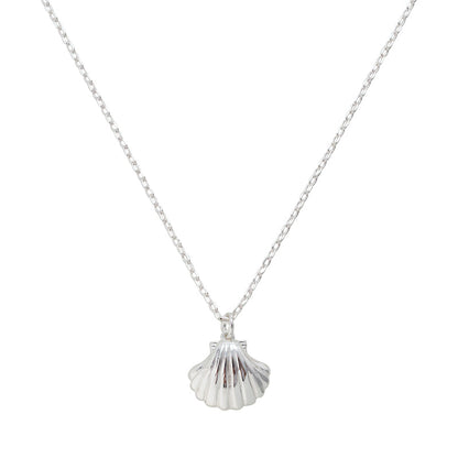 Seashell Necklace