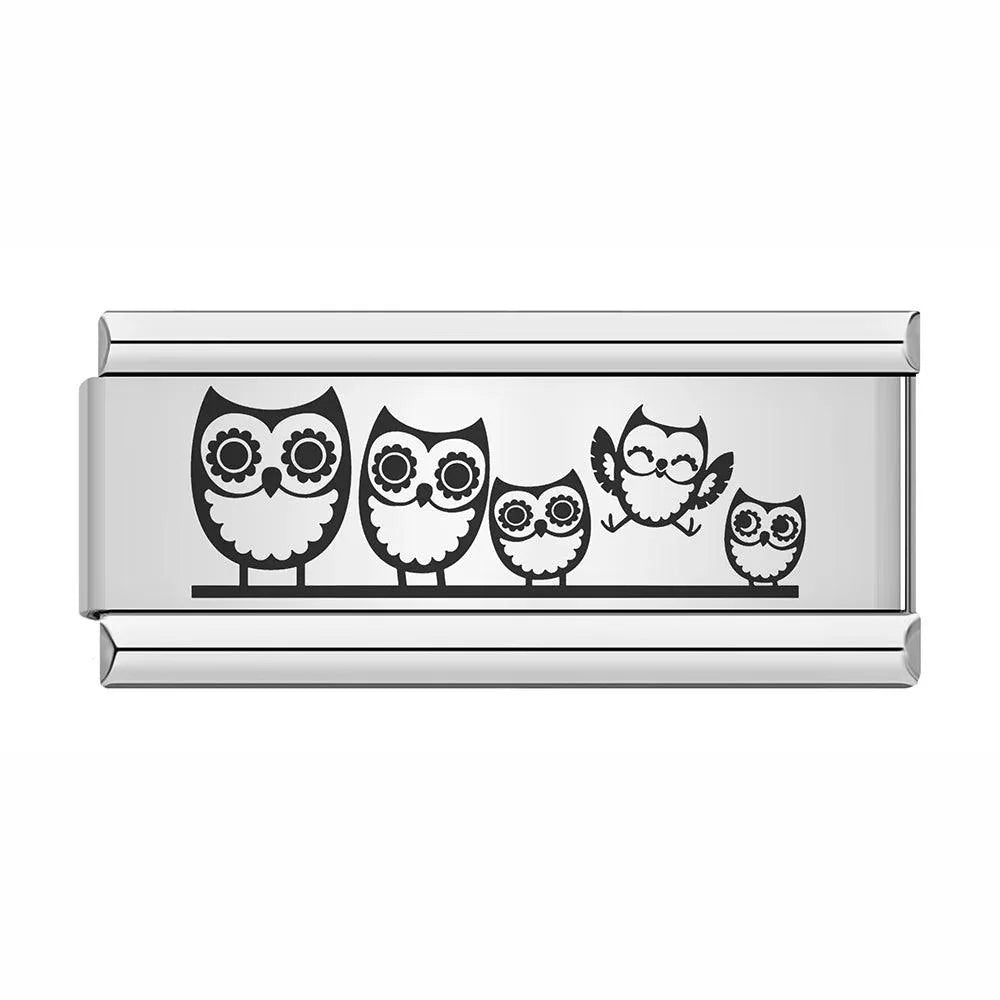 Family of Owls, on Silver